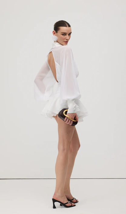 Solid Lantern Sleeve Mini Dress